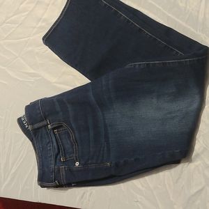 American Eagle Artist Crop Jeans
